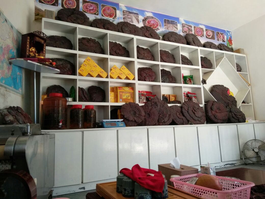 竹灵芝酒制作原材料展示