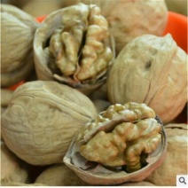 纸皮核桃去皮干