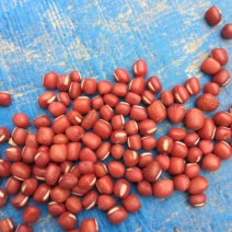 红小豆散装