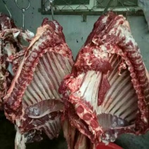 驴肉鲜货