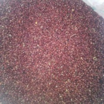 红小豆散装
