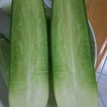 水果萝卜1.5~2斤起