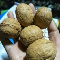 新疆185核桃去皮干