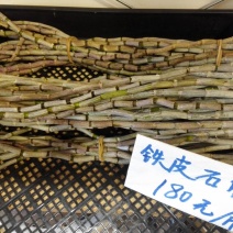 铁皮石斛盆
