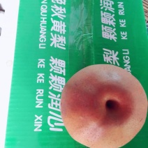 晚秋黄梨