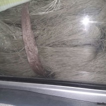 红薯粉丝散装