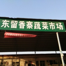 黑叶菠菜35~40厘米