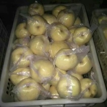 礼泉酥梨纸袋