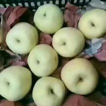 贡梨60~100g纸袋