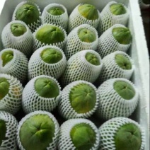 木瓜