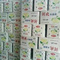 雪花梨400~450g纸箱