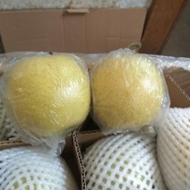 皇冠梨250~300g膜袋