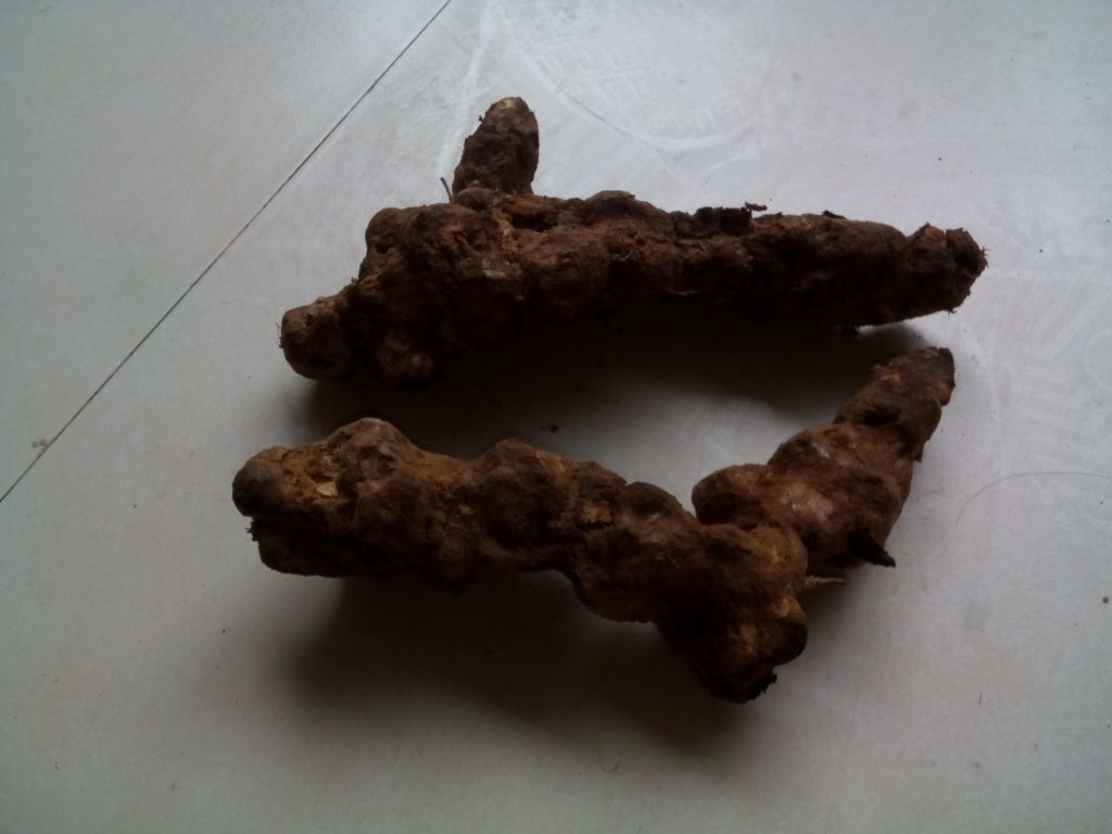 葛根土茯苓水成品图