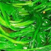 越冬菠菜25~30厘米