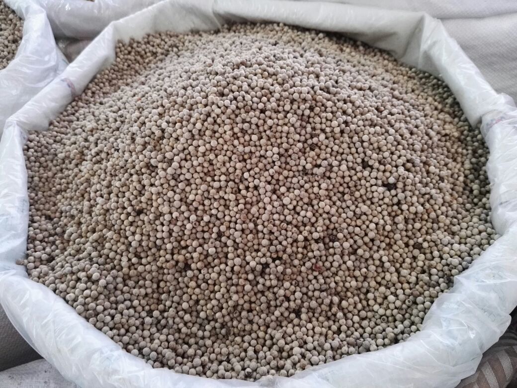 胡椒实验室检测场景