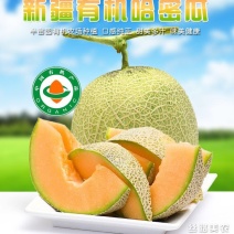 西州蜜瓜
