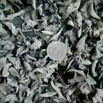 黑木耳特级