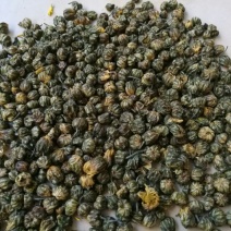 白菊花茶胎菊