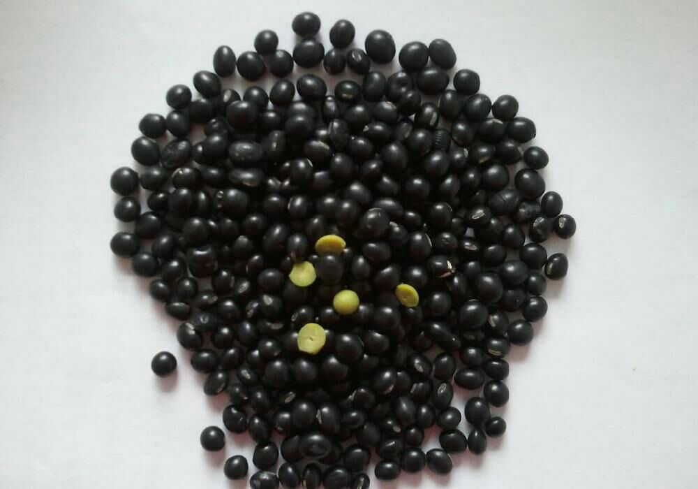 黑豆显微结构与异黄酮分子示意图