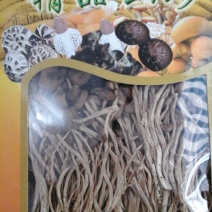 茶树菇