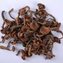 榛蘑特级