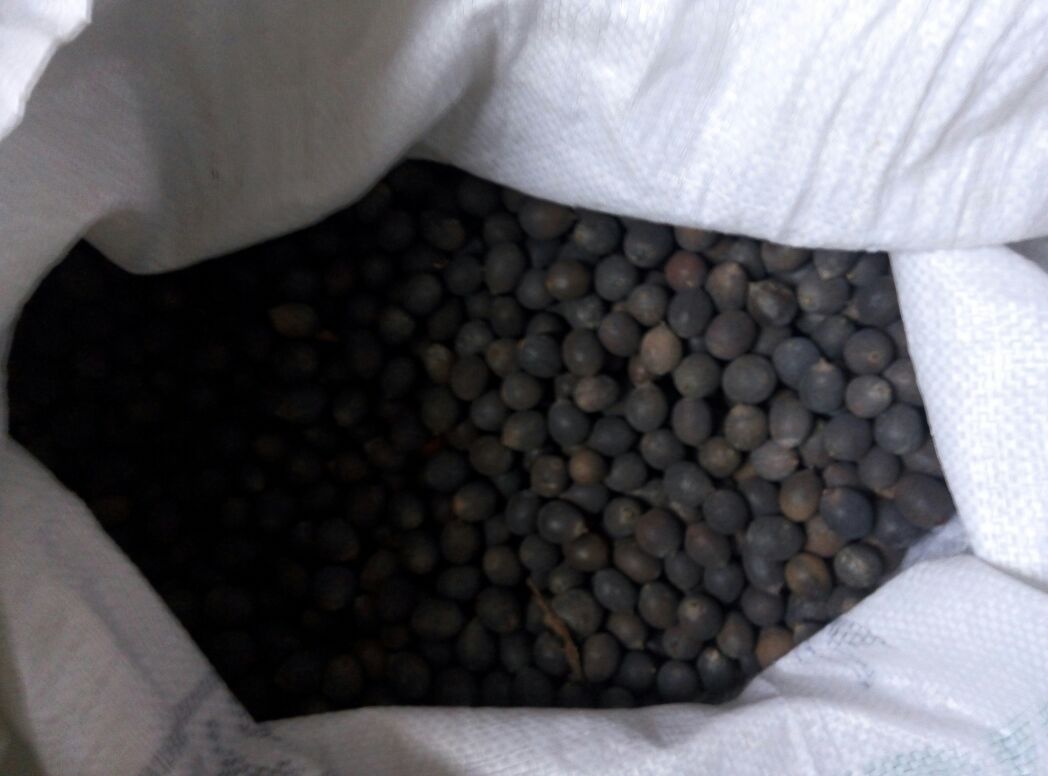 由四格组成的拼图:左上为湘莲粥,米粒与莲子交融;右上为莲蓉月饼切面,露出细腻金黄的馅料;左下为湘莲炖排骨汤,汤色清澈莲子浮于表面;右下为蒸湘莲配南瓜,色彩温暖和谐 湘莲多种烹饪应用场景拼图