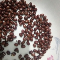 红小豆袋装