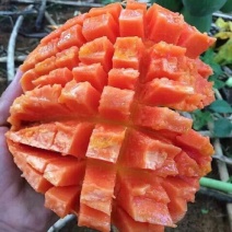 大白木瓜
