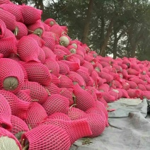 西州蜜瓜5斤以上长圆形