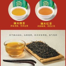 辣木茶特级