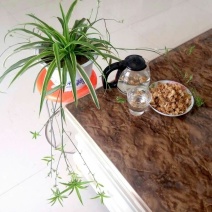 白菊花茶