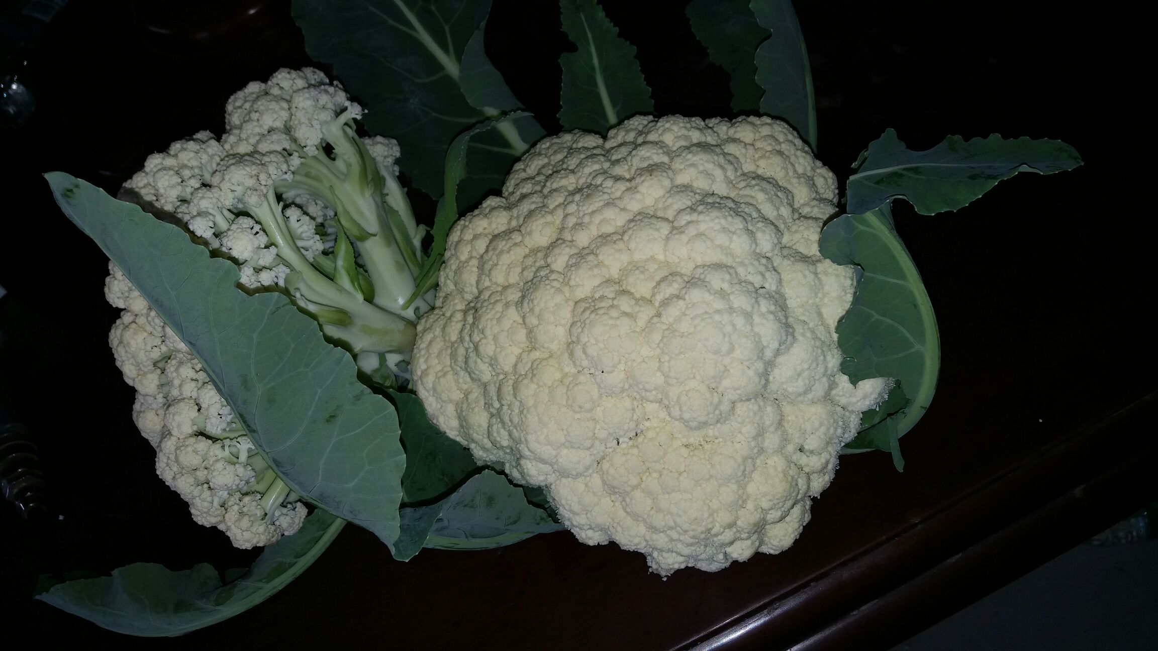 图片说明:图中左侧为松花菜,右侧为几种常见的野菜人青菜(如马齿苋、蒲公英)的实物对比图,展示了它们的外观特征。 松花菜与野菜人青菜对比图