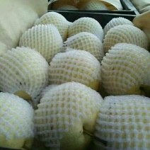 砀山梨200~250g纸袋