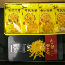 药用菊花袋装