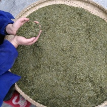 石阡苔茶特级