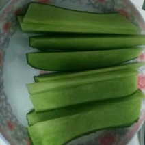 沙窝水果萝卜1~1.5斤起