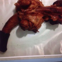 驴肉