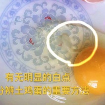 土鸡蛋