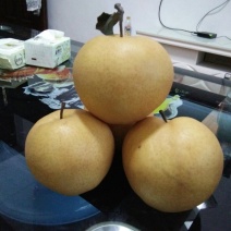 晚秋黄梨500~550g纸加膜