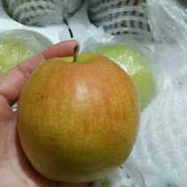 梨450~500g纸箱