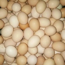土鸡蛋食用50g以下
