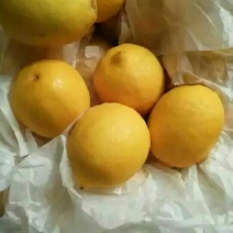 柠檬膏