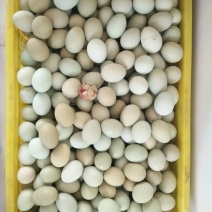 绿壳鸡蛋食用40~50g