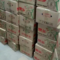 礼泉酥梨250~300g纸箱