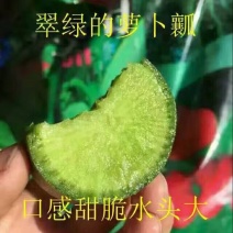 青萝卜