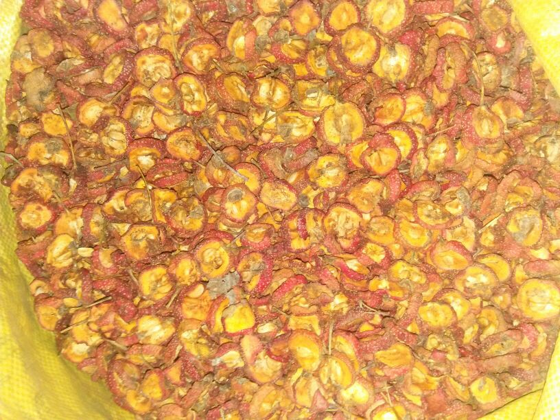 高清特写:新鲜山楂与蒸熟橙心红薯并置,展示真实农产品形态与质地差异 山楂与红薯实物对比图:左侧为新鲜红果山楂(直径1.8–2.2cm,表皮光滑带蜡质层),右侧为去皮蒸熟的橙心红薯(断面湿润有光泽,无焦斑),两者分置白瓷盘中,背景为木质砧板