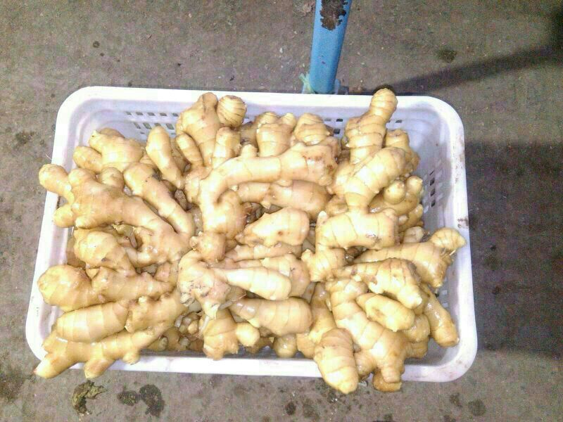 姜汤面做法大全