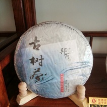 普洱茶