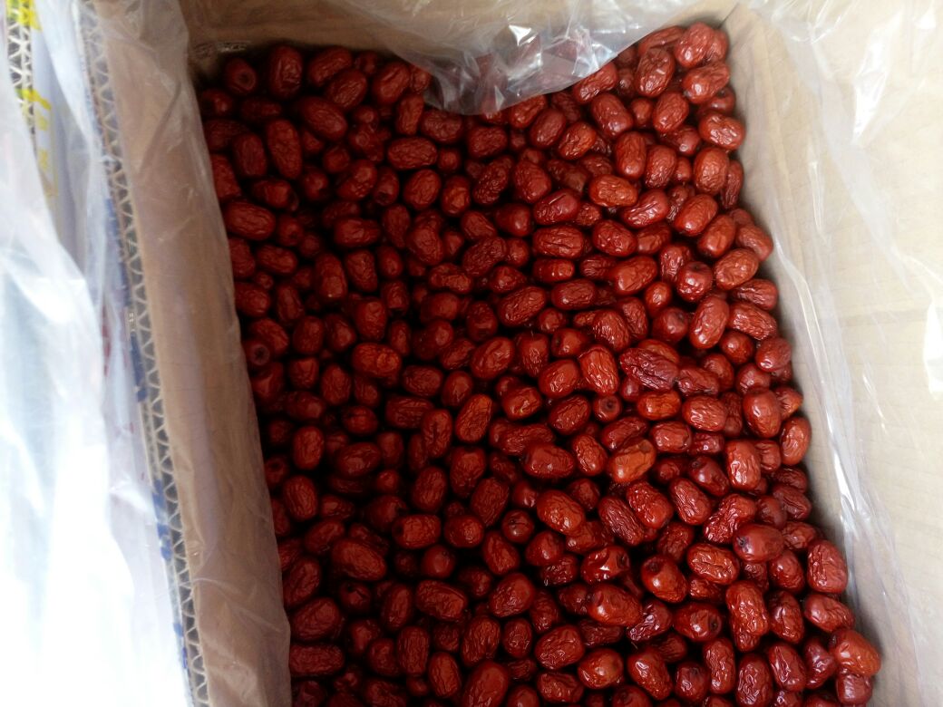 现代化工厂熏枣成品展示