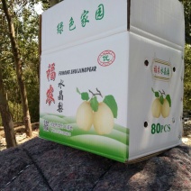 鸭梨250~300g纸加膜